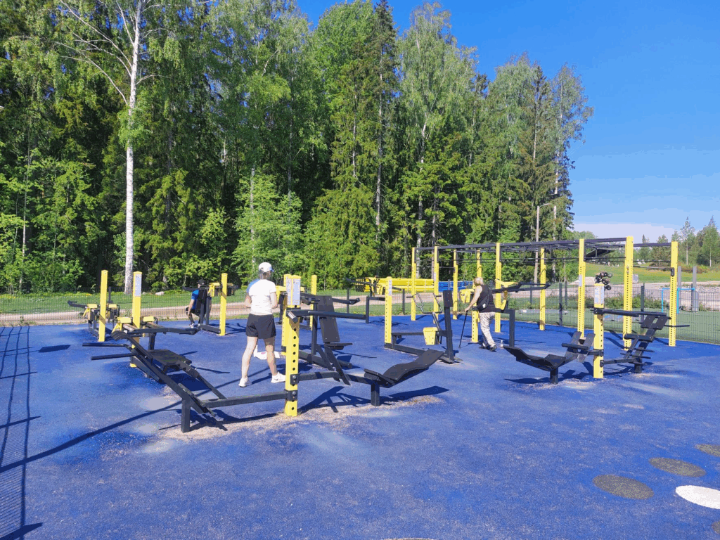 Manufacturers Of Smart Plate Loaded Outdoor Gym