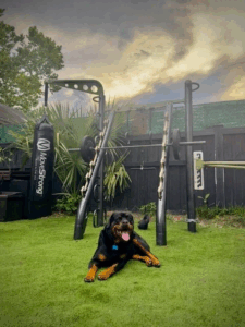 Punching Bag And Strength Backyard Equipment, South Africa
